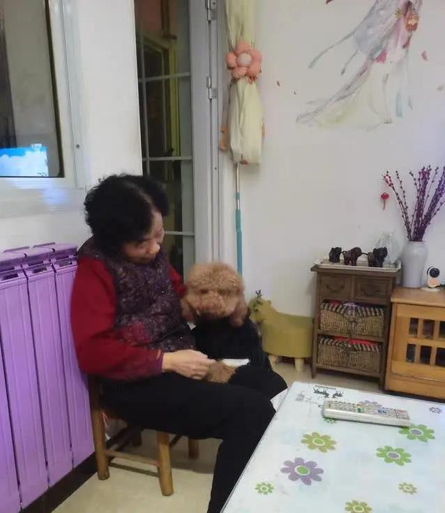 乖得让人觉, msn
