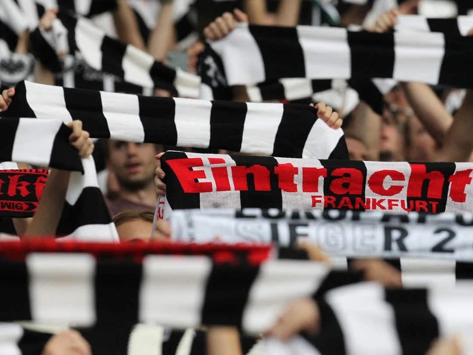 展示, 中看到的约 展示, 中看到的约