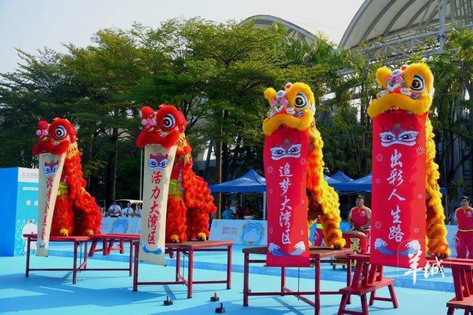 身体协调性 身体协调性